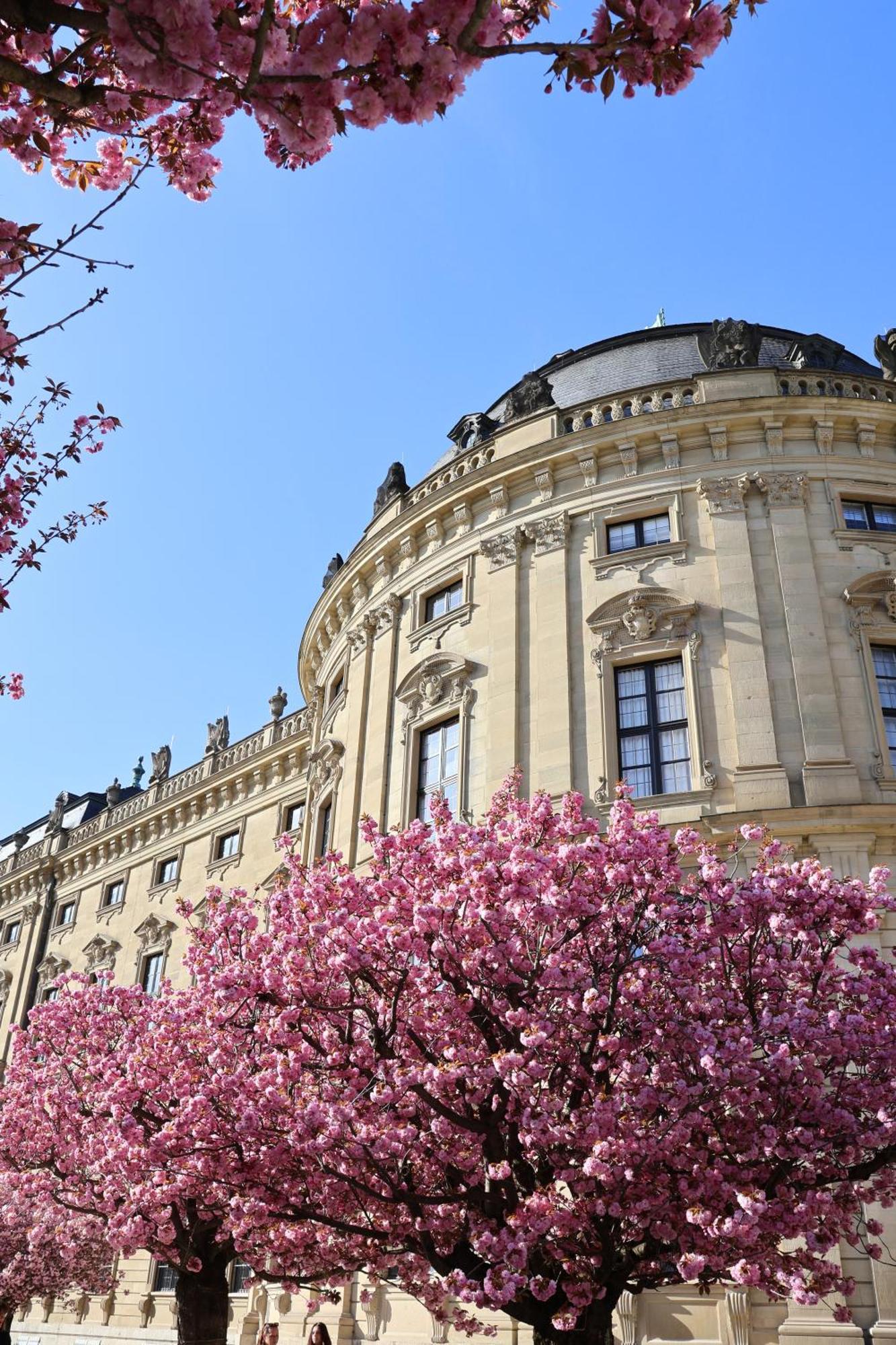 Ringpark-Ferien Apartment Wurzburg Bagian luar foto